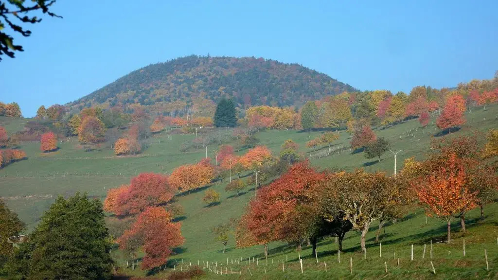 Voir la photo 3 — Gîte Schlitteur Et Sapiniere
