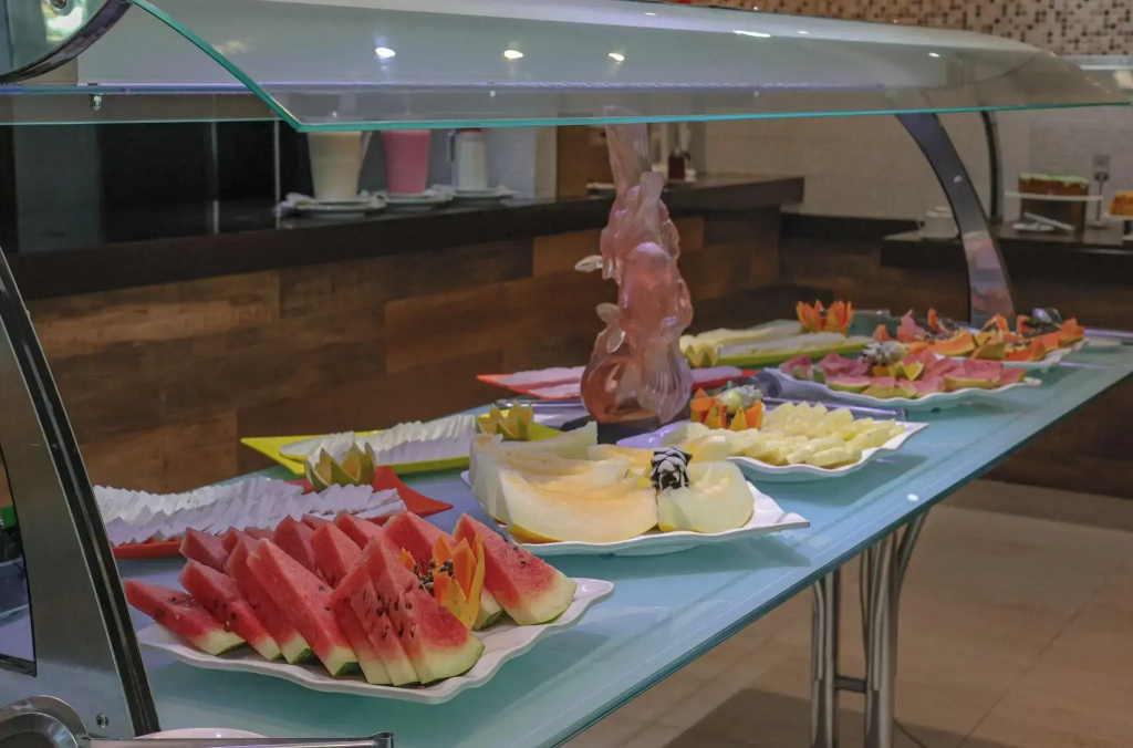 Brisa da Praia Park Hotel - Général