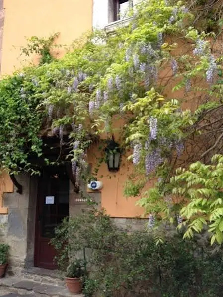 Hotel photo 29