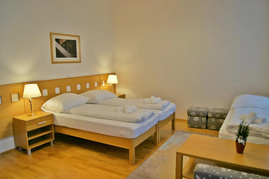 Hotel Pod Zeleným Dubem - Général