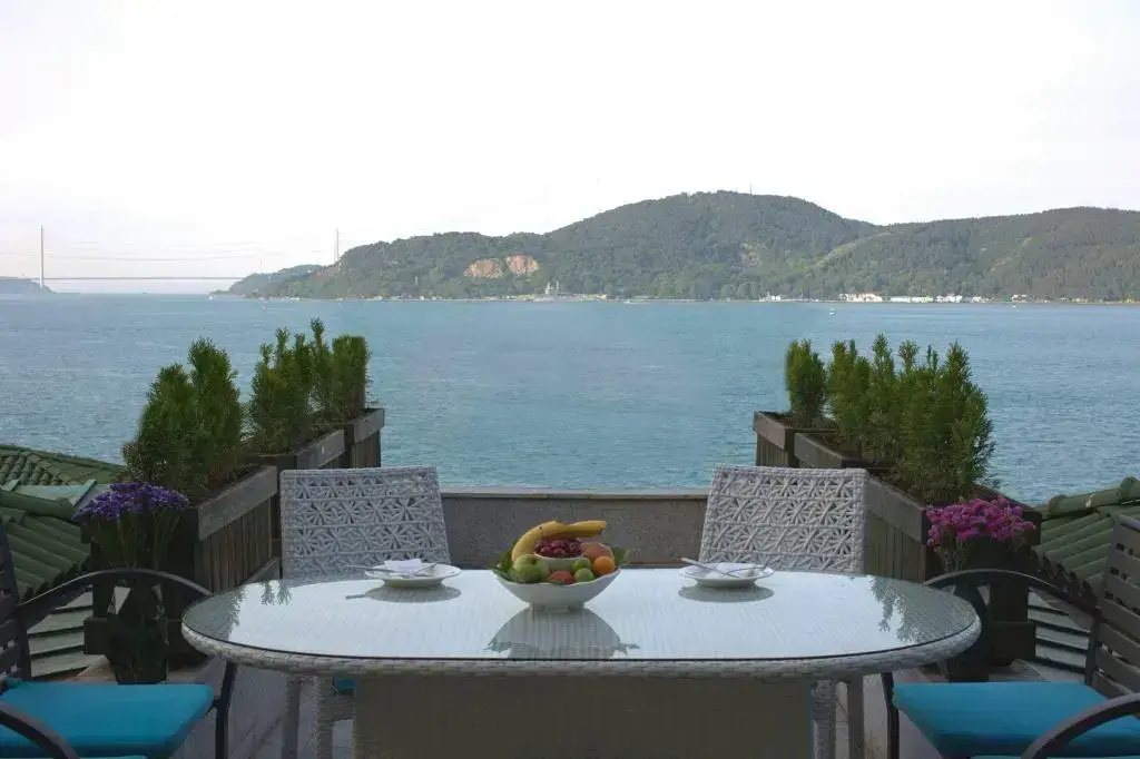Balcony & Terrace