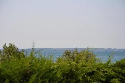 Beach & Waterfront