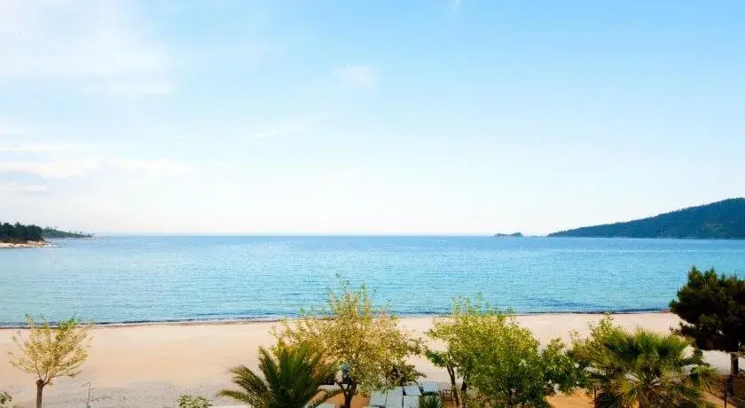 Beach & Waterfront