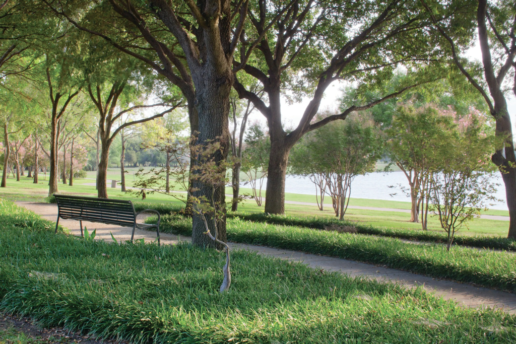 DoubleTree by Hilton Dallas - Farmers Branch - Général