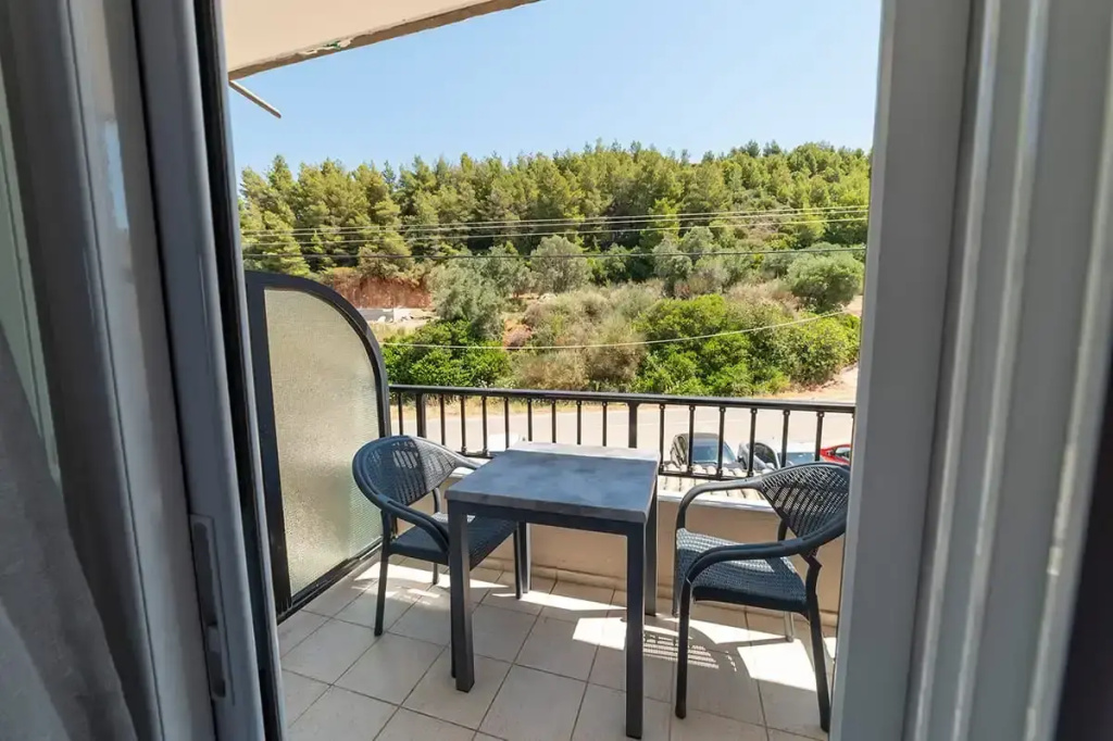 Standard Double room with mountain view (full double bed)