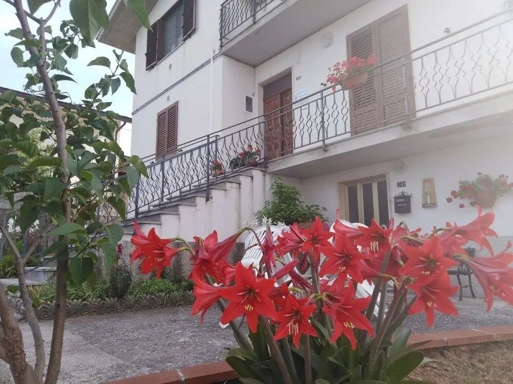 Dolce Risveglio