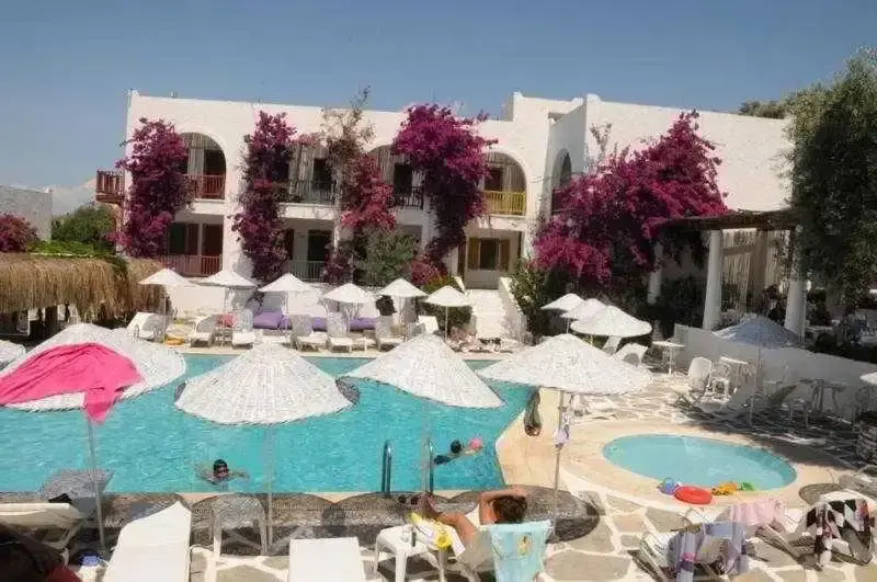 Hotel photo 10