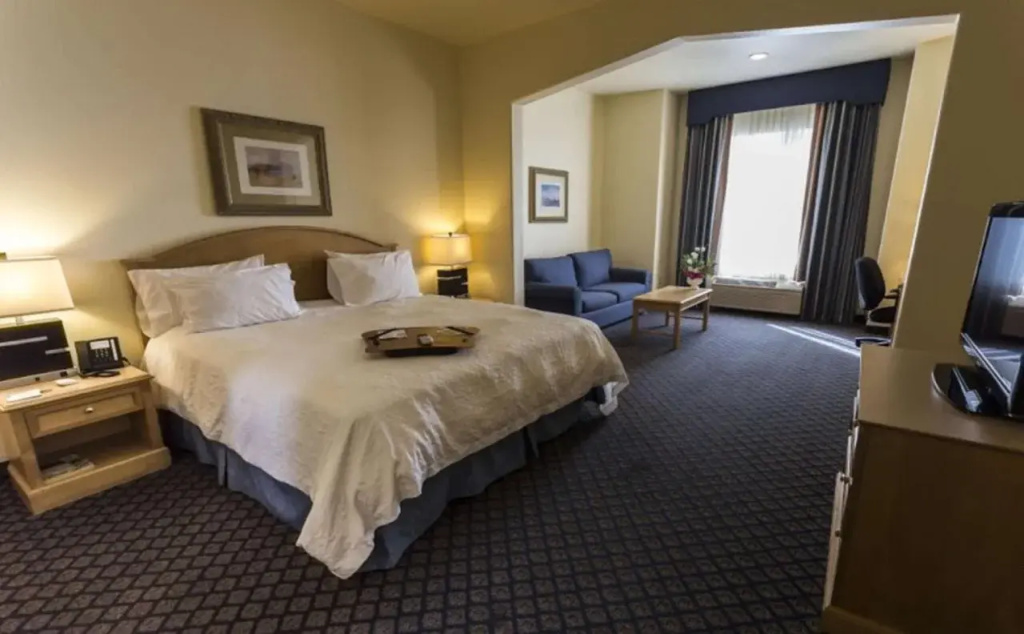 Hampton Inn And Suites San Jose - Général