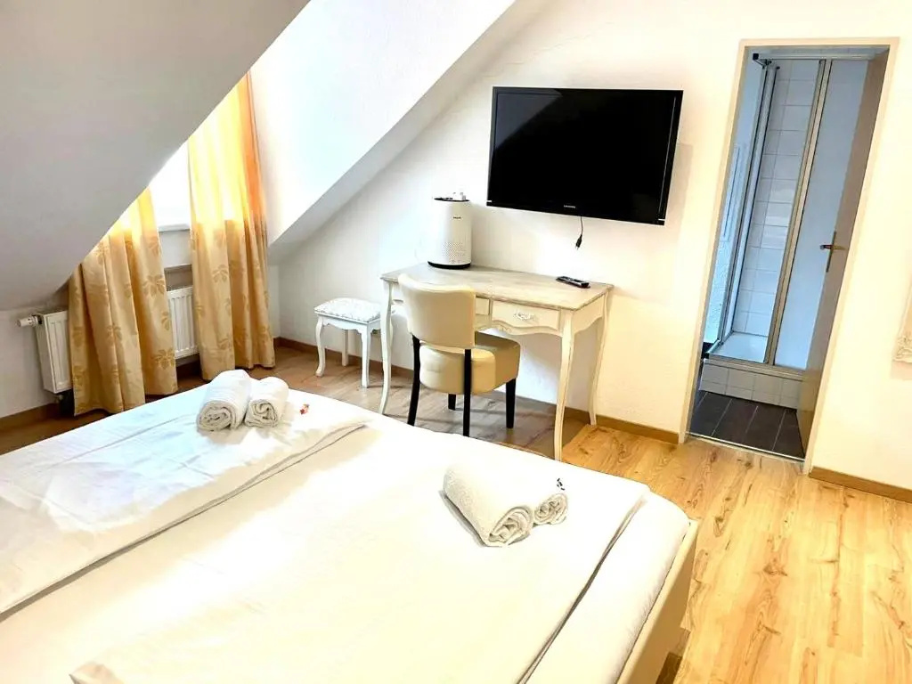 Standard Double room (full double bed)