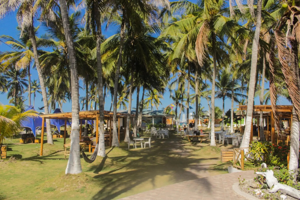Palmarito Beach Hotel - Général