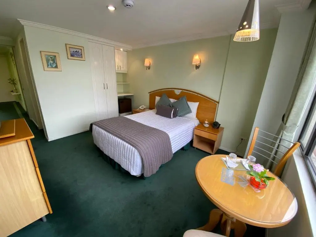 Standard Double room with mountain view (full double bed)