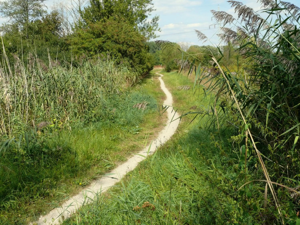 Image 18