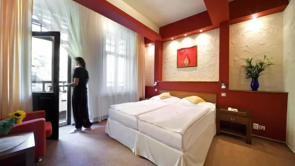 Spa & Wellness Hotel St. Moritz - Chambres