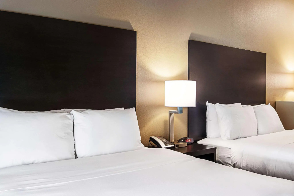 Quadruple Suite