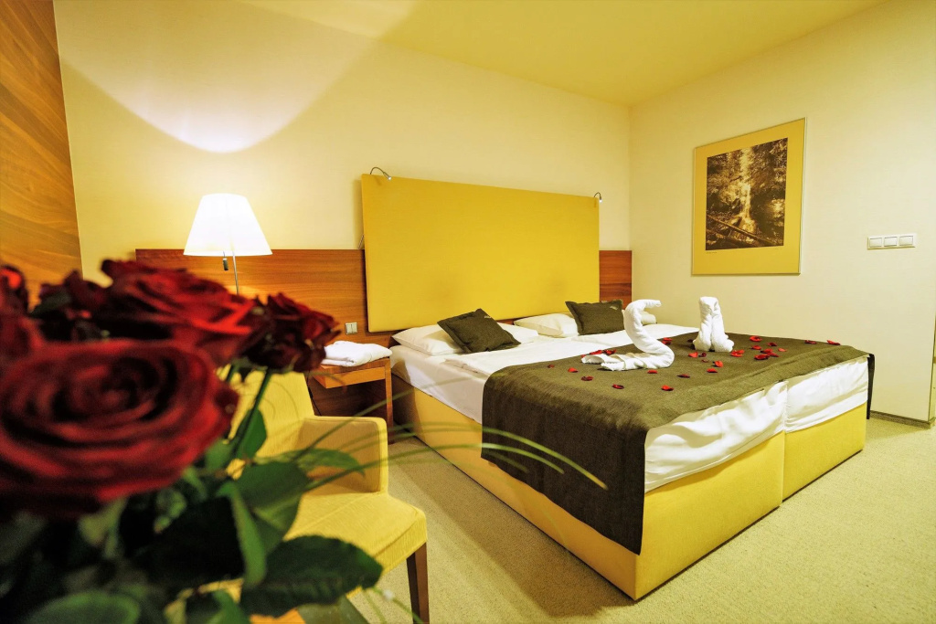 Hotel AquaCity Mountain View - Général