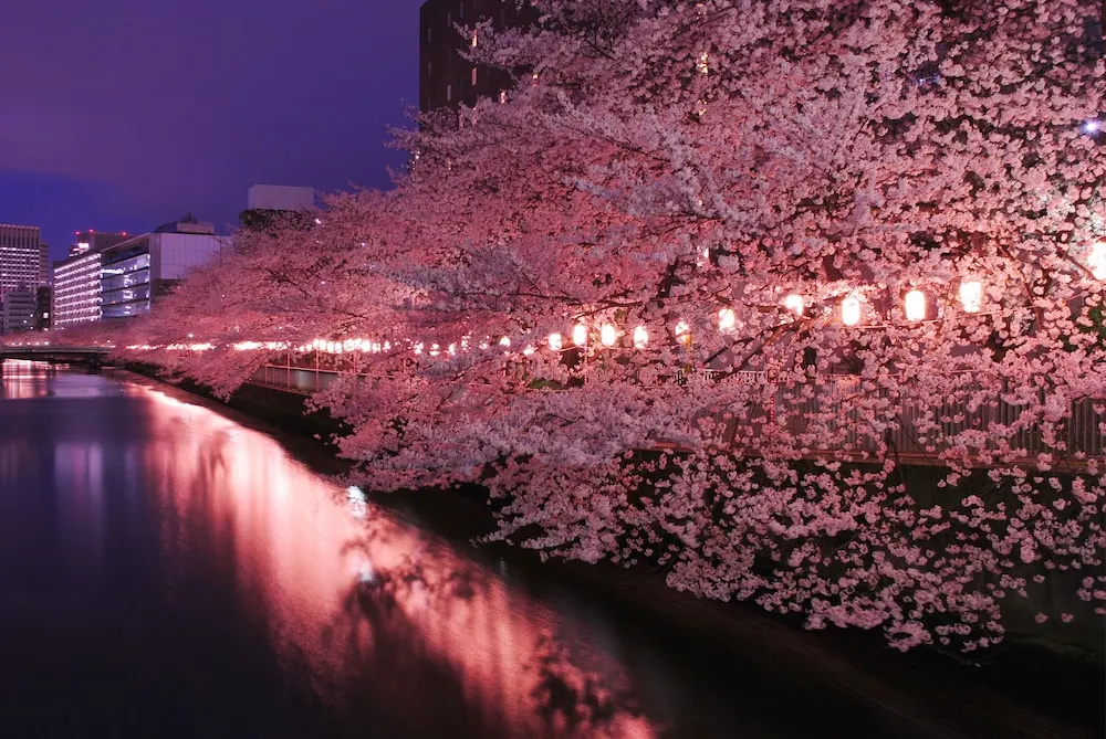 Grand Hostel Ldk Tokyo Nishikasai 사진 45