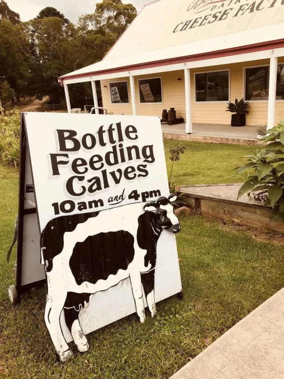 Bodalla Dairy Shed Guest Rooms