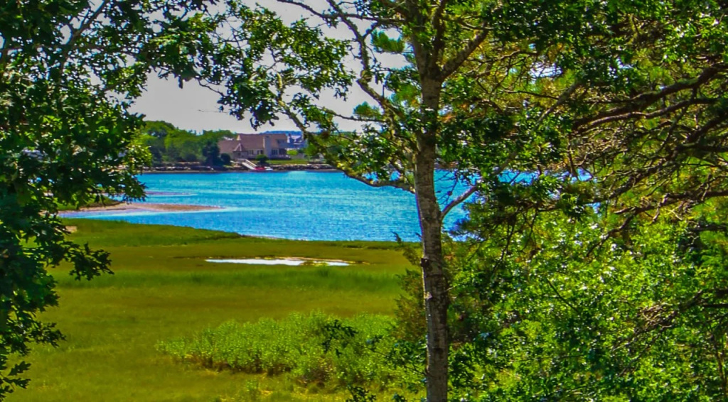 Beach & Waterfront