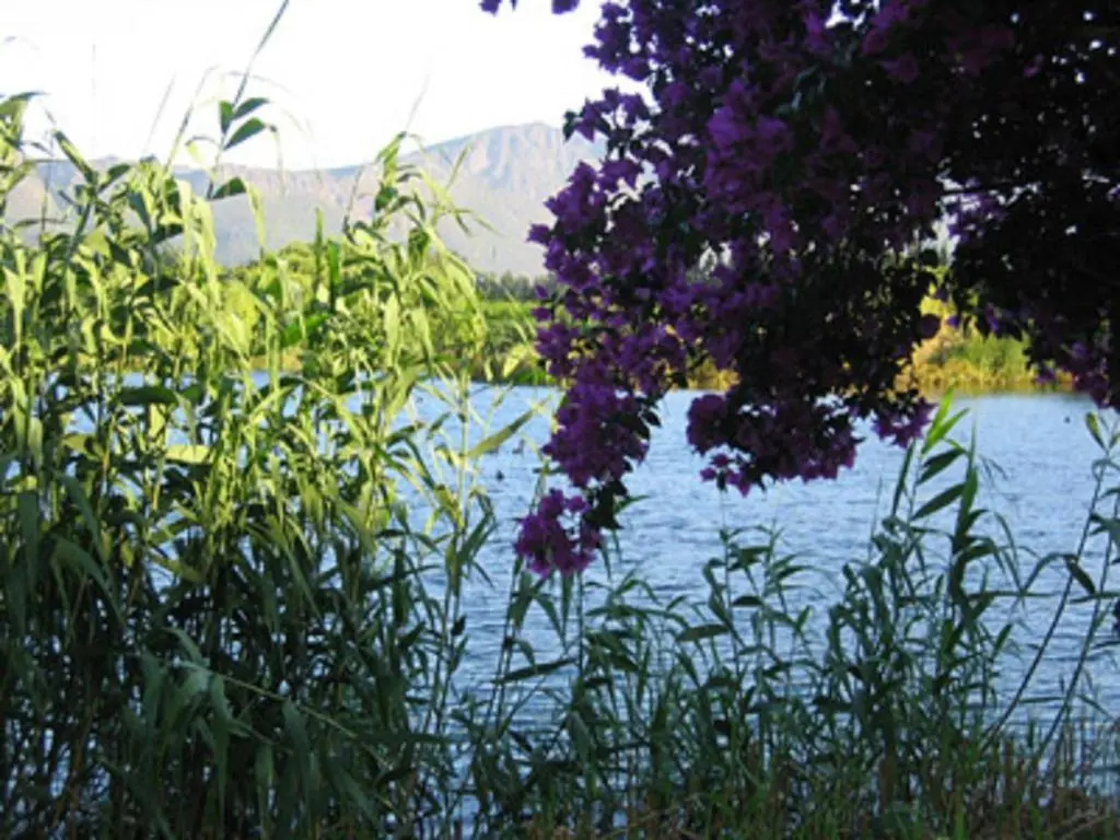 image url