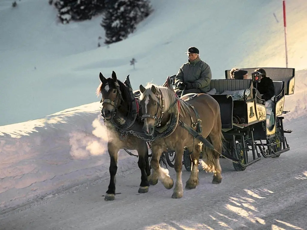 Pension Grissemann