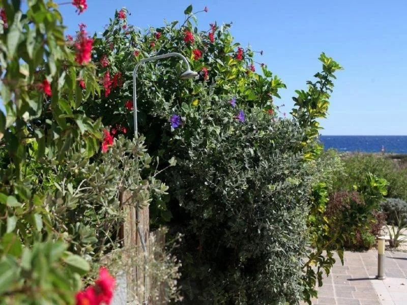 Balcony & Terrace
