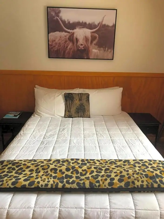 Lakefront Lodge Taupo - Chambres