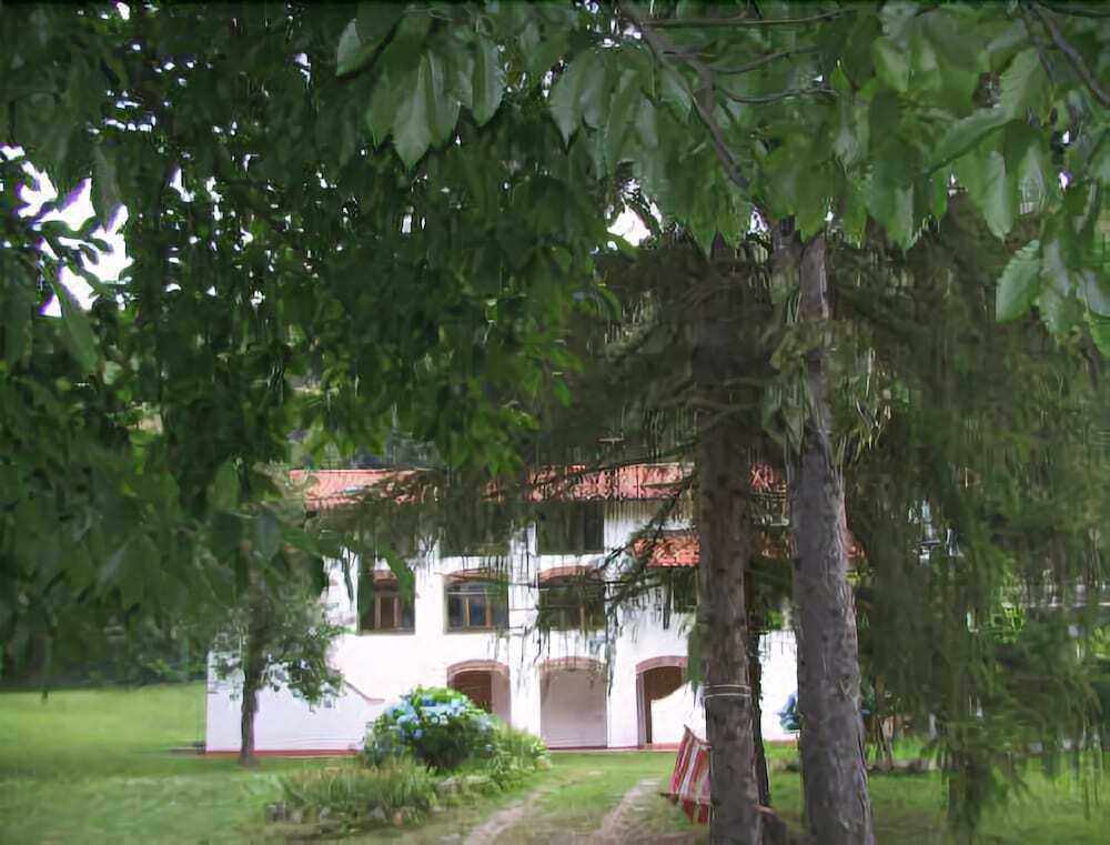 Image 17