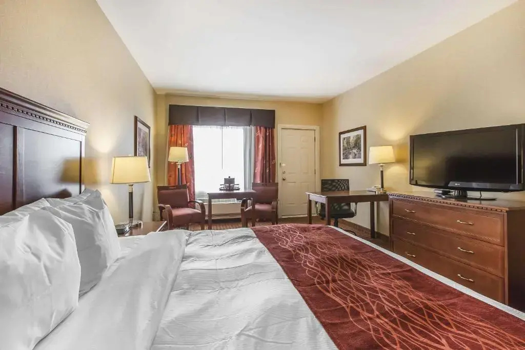 Comfort Hotel Airport - Chambres