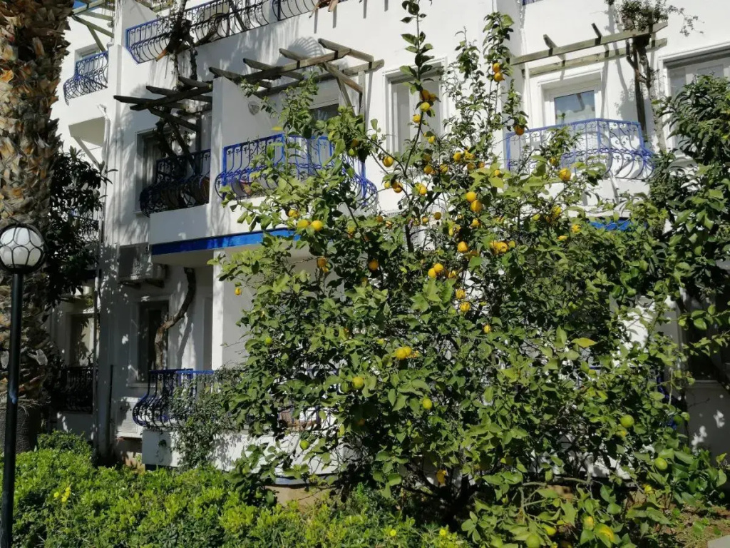 Hotel photo 27