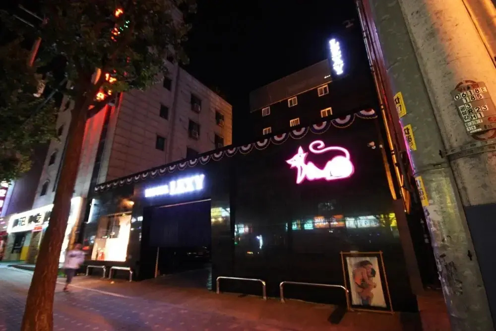 Seongnam Lexy - фото 12