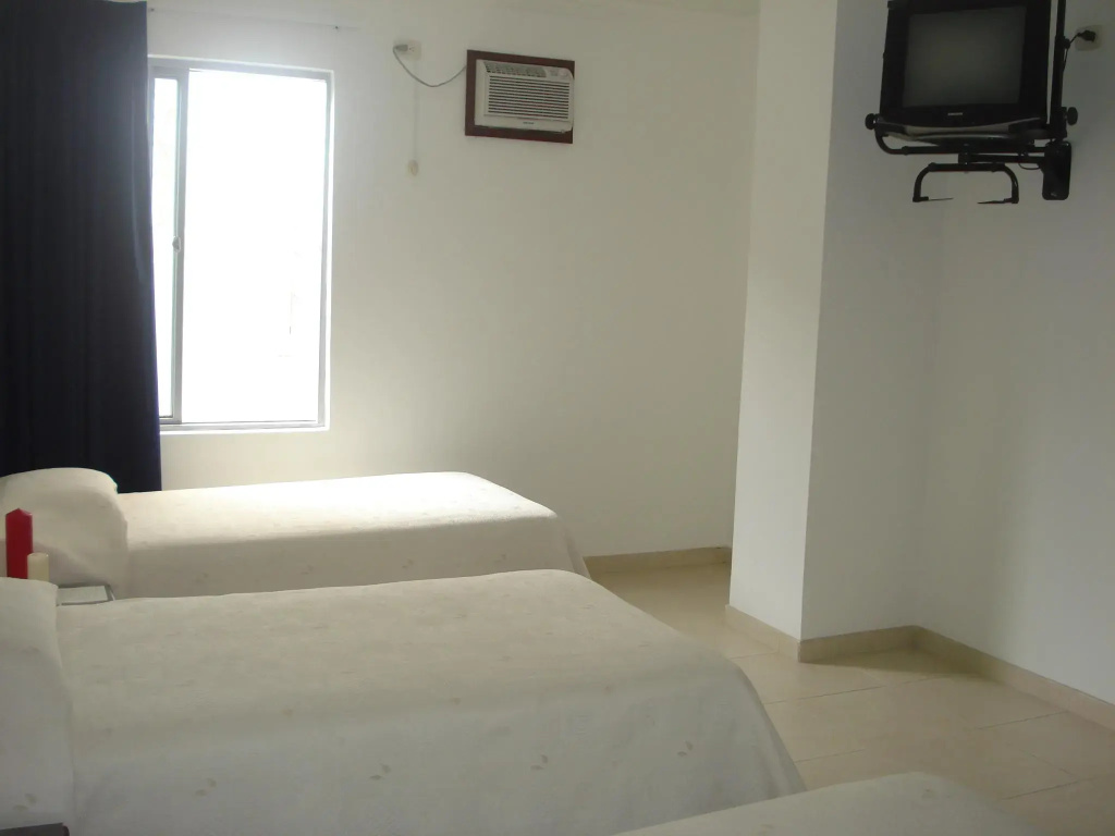 Hotel Puerta De Alcala - Général