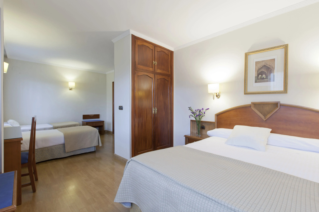 Hotel Porcel Alixares - Général