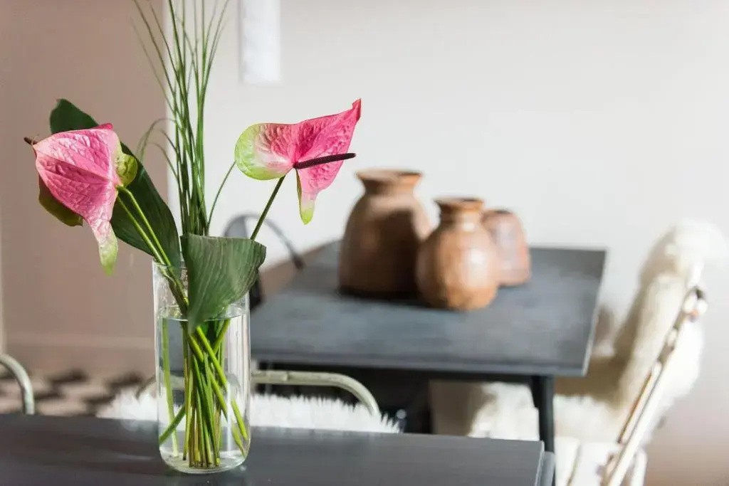 Hotel Home - Chambres