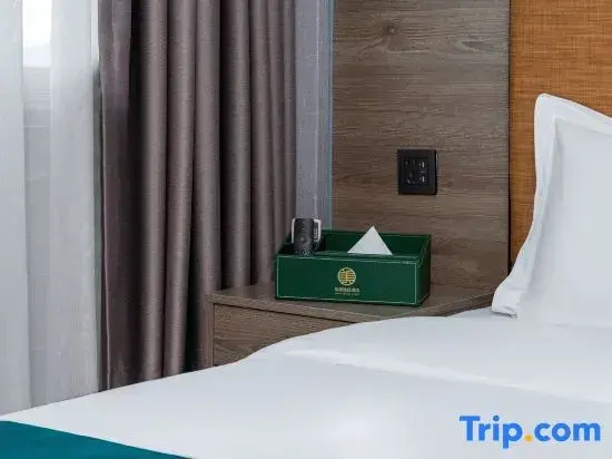 Premier Double room (full double bed)