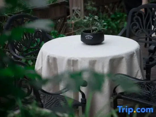 Balcony & Terrace