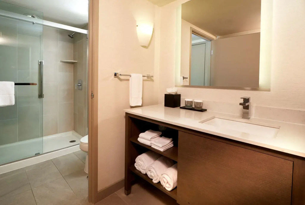 Embassy Suites by Hilton Phoenix Scottsdale - Général