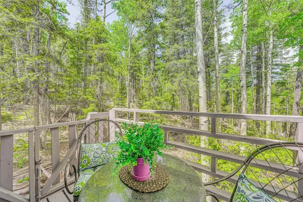 Quaint Cloudcroft Cabin w/ Stunning Forest Views! - фото 13