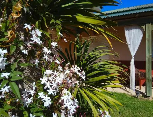 Image 12