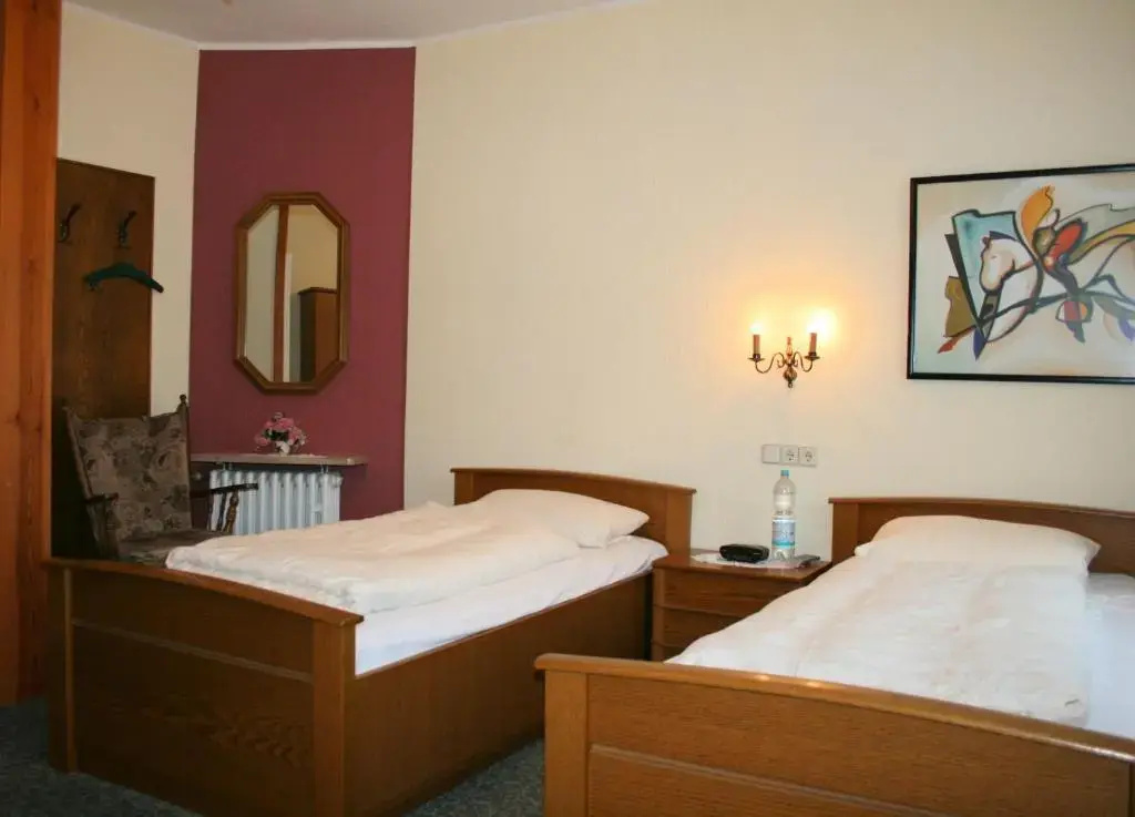 Standard Double room (twin beds)