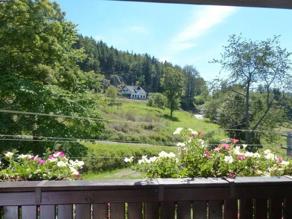Balcony & Terrace