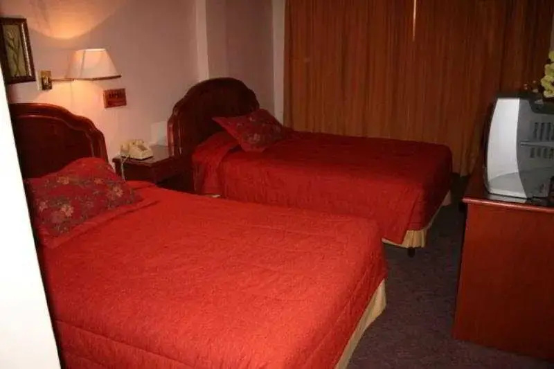 Standard Double room (twin beds)