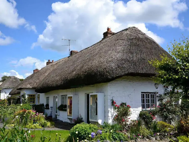 Ballycannon Lodge - Général