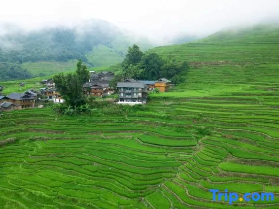 Qisu · Daomeng Kongjian Homestay (Congjiang Jiabang Terraced Fields Scenic Area Branch