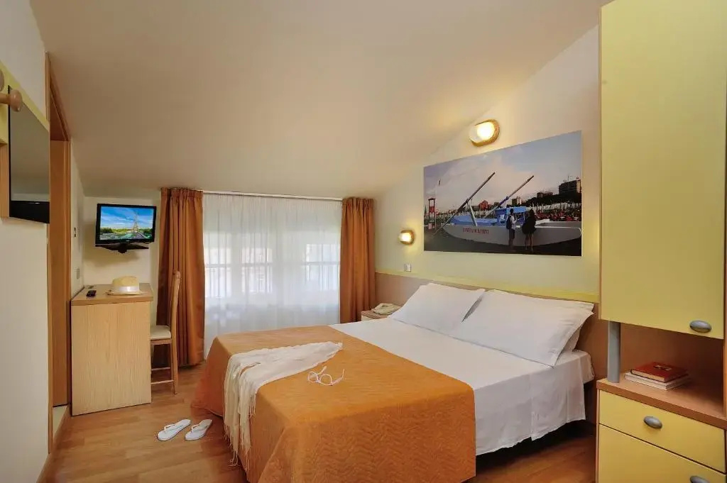 Comfort Double room (full double bed)