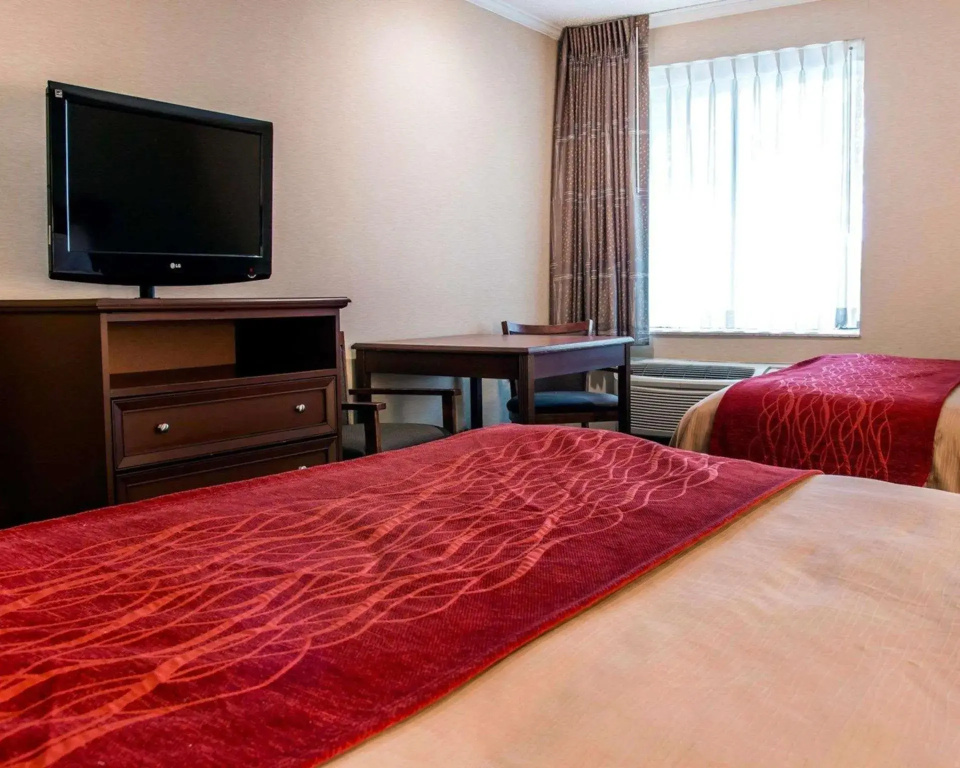 Wingate by Wyndham Livonia - Chambres