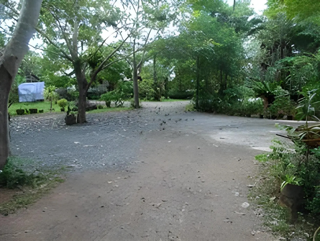 Baan Tai Rom Yen Resort