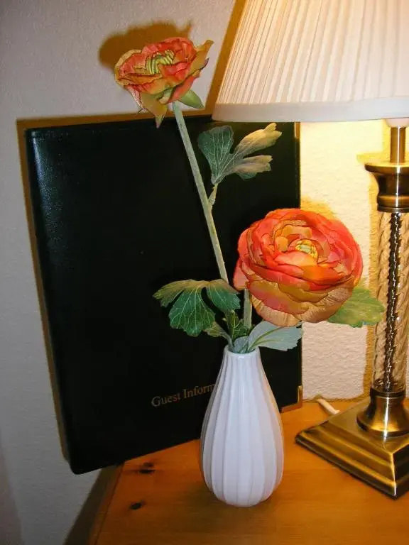 Robertson Arms Hotel - Chambres