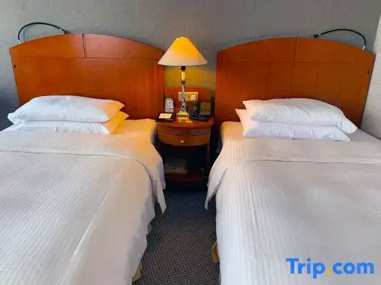 Business Double room (twin beds)