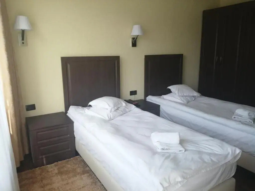 Standard Double room (twin beds)