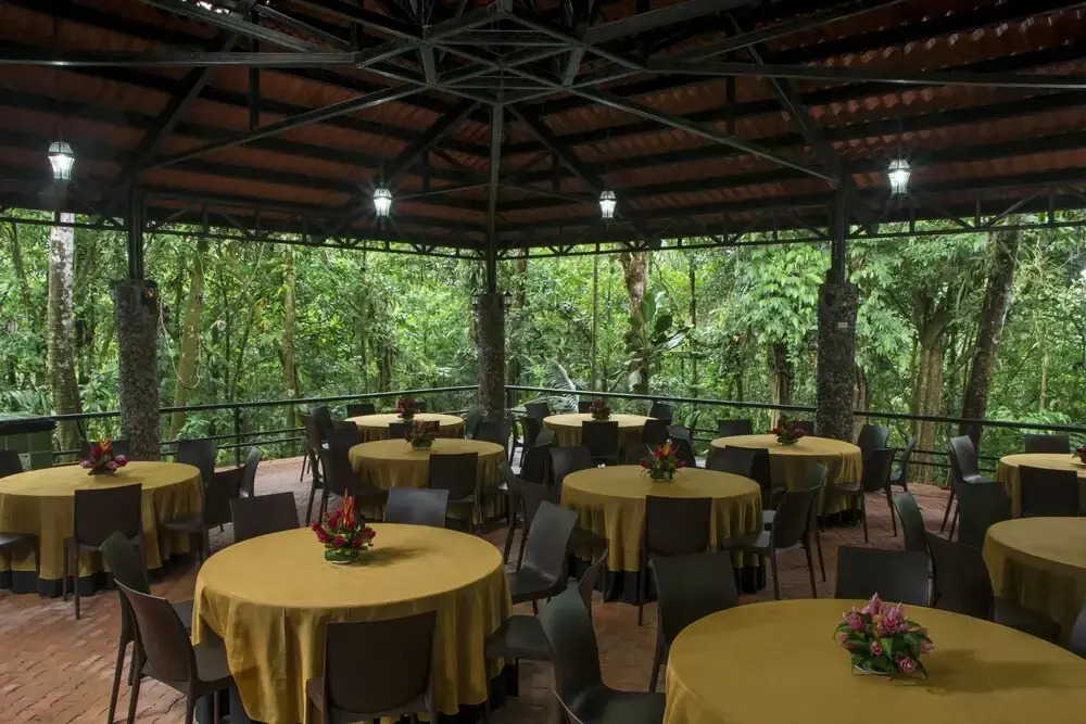 Tapirus Lodge - фото 19